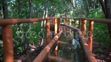 森林中有栏杆的冷水渠。 <strong>疾病预防</strong>健康路径